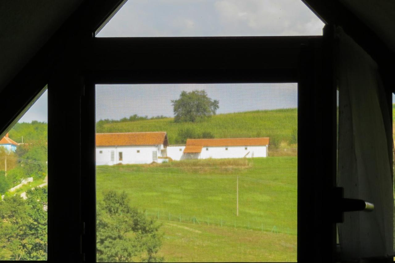 Гостевой дом Eco Farm Milanovic Деспотовац Экстерьер фото