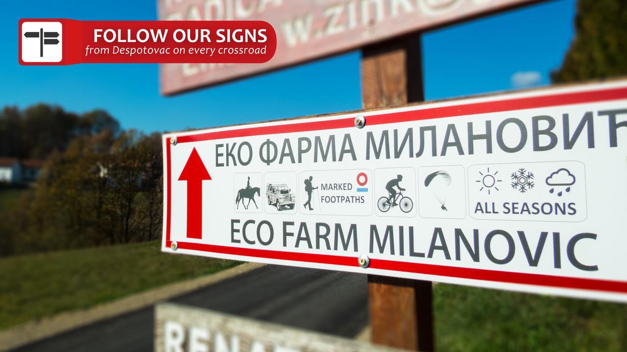Гостевой дом Eco Farm Milanovic Деспотовац Экстерьер фото