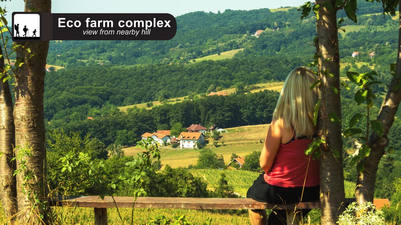 Гостевой дом Eco Farm Milanovic Деспотовац Экстерьер фото